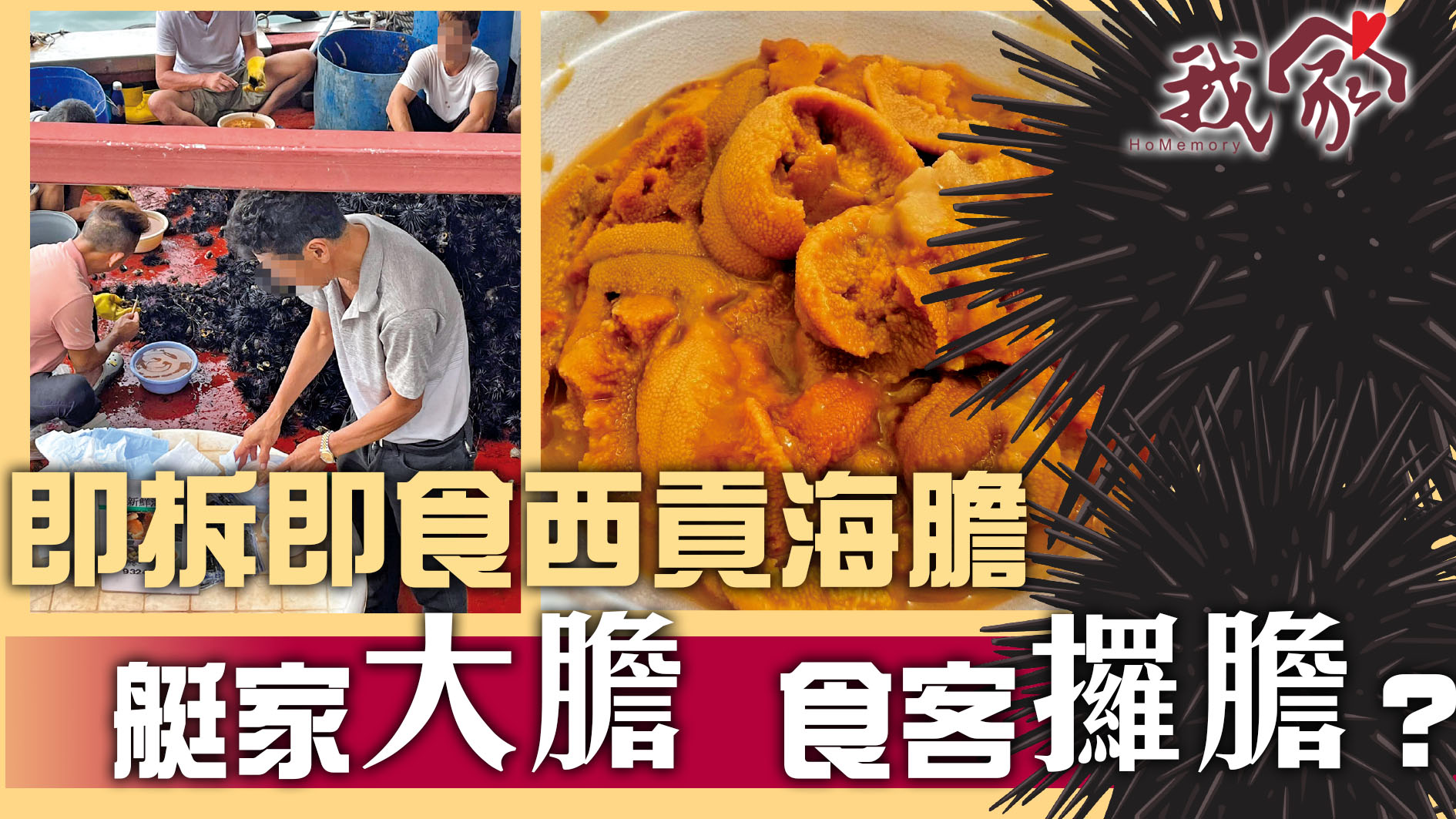 (西貢)即拆即食西貢海膽   艇家「大膽」  食客「攞膽」？